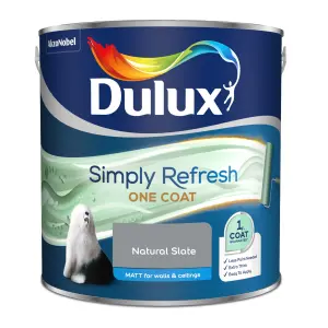 Dulux One coat Natural slate Matt Emulsion paint, 2.5L