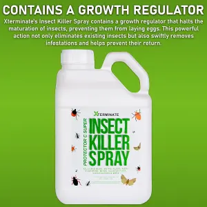 5L pump sprayer with 5L Xterminate Insect Killer