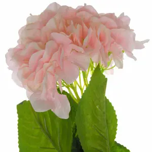 Single Hydrangea Artificial Flower - L10 x W18 x H70 cm - Pink