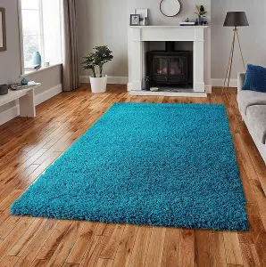 Teal Blue Shaggy Area Rug Elegant and Fade-Resistant Carpet Runner - 120x170 cm