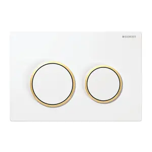 Geberit Omega20 Dual Flush Plate for 120mm Omega Cistern White Gold Plated 115.085.KK.1