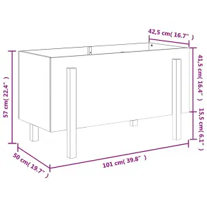 Berkfield Garden Raised Bed Black 101x50x57 cm Solid Wood Pine