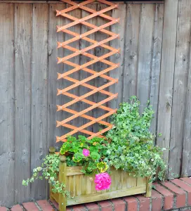 7mm Heavy Duty Brown Expanding Wooden Trellis 1.8m x 0.6m