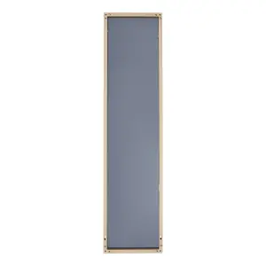 Rose Gold Rectangular Wall Mounted Framed Mirror Full Length Mirror Dressing Mirror H 120 cm x W 30 cm