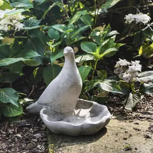 Floor level Birdbath with Perching Pigeon / Bird feeder