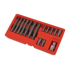 15 Piece Ribe Bit Set Socket Set (Neilsen CT0120)