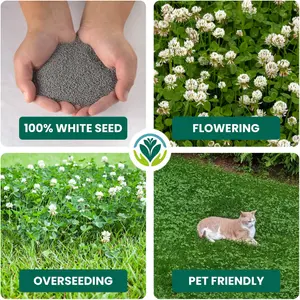 2.5kg Micro White Clover Grass Seed Eco-Friendly Drought Resistant Lawn Cover