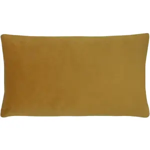 Paoletti Sunningdale Velvet Feather Rich Cushion