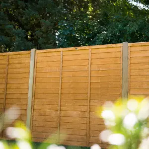 Forest Garden Traditional Overlap Dip treated 6ft Wooden Fence panel (W)1.83m (H)1.83m