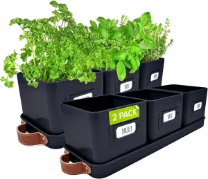 2-Pack Black Herb Pots with Leather Tray - Indoor Windowsill Planters with Labels for Fresh Herbs & Small Plants