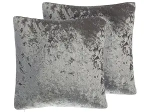 Set of 2 Cushions HOSTA Velvet 45 x 45 cm Solid Grey