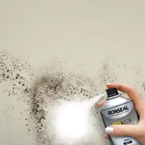 Ronseal Anti Mould White Matt Wall & ceiling Protector Spray paint, 400ml