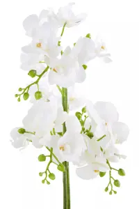 Fiori White Orchid Plant in Rectangular Pot Artificial Plant Foliage