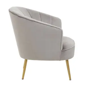 Interiors by Premier Versatile Yolanda Grey Velvet Chair, Exquisite & Cozy Desk Chair Velvet, Easy to Clean Velvet Accent Chair