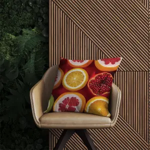 Citrus And Pomegranate Outdoor Cushion 45cm x 45cm