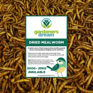 Dried Mealworms Protein Rich Wild Bird Food  (5kg)