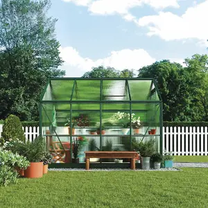 Polycarbonate Greenhouse Large Walk-in Garden Growhouse, Sliding Door & Twin Wall Panels with Steel Base 6x8 (Standard Green)