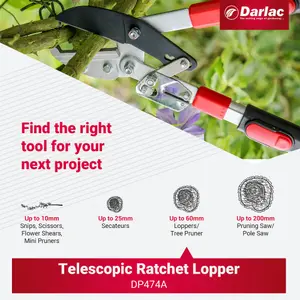 Darlac Telescopic Ratchet Lopper, DP474A