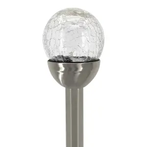 Silver & clear Crackle effect Solar-powered Integrated LED Outdoor Stake light