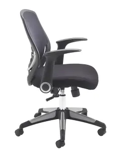 Rainbow Zebra Mesh Back Computer Desk Chair with Folding Armrests