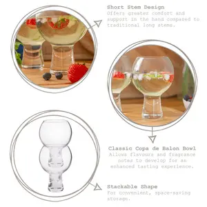 525ml Gin Balloon Glass Set (Set of 2)