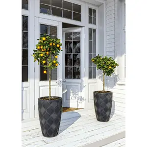 Round Tall Plant Pot Elegant Large Flower Indoor Outdoor Garden Planters Flow Black H 48cm x D 29cm