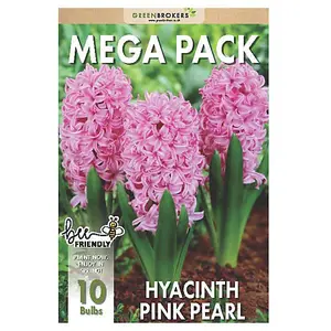 Hyacinth Mega Bag Pink Pearl (10 bulbs) Bee Friendly