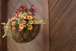 Natural Coco Hanging Basket Liner Cupped Shaped Coco Liner for a 12 Inch Hanging Basket