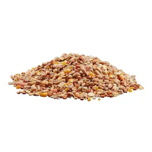 Happy Beaks Robin & Songbird Wild Bird Food No Mess Seed Mix (5kg) High Energy Premium Feed