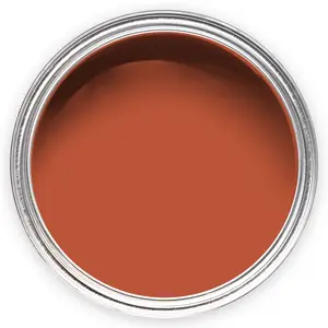 Annie Sloan Wall Paint 120ml Riad Terracotta