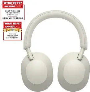 SONY WH-1000XM5 Wireless Bluetooth Noise-Cancelling Headphones - Silver