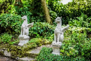 Large Pair Of Winged Stone Griffin Ornaments Gargoyle Gryphon  with Plinths