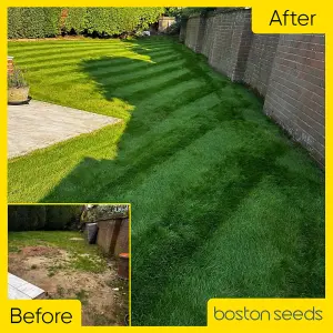 Boston Seeds BS Shady Place Grass Seed (1 x 10kg)