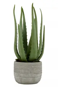 Fiori Large Aloe Vera with Cement Pot Artificial Plant Foliage