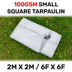 waterproof clear reinforced tarpaulin/builders tarp/camping ground sheet cover up (2m x 2m)