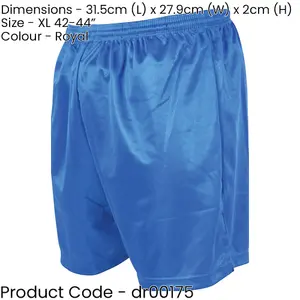 XL - ROYAL BLUE Adult Sports Micro Stripe Training Shorts Bottoms - Gym Football