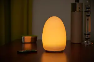 Auraglow Rechargeable Cordless Colour Changing LED Table Lamp - EGG