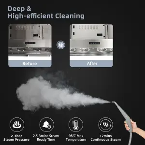 Costway Hand-held Steam Cleaning Machine 3 Bar 1000W Portable Steam Cleaner