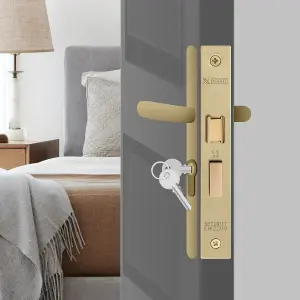 XFORT Polished Brass Euro Profile Sashlock 75mm