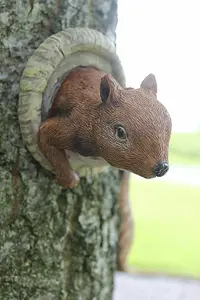 Red Squirrel Tree Oeeker Ornament