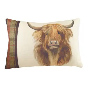 Evans Lichfield Hunter Highland Cow Highland Cow Rectangular Feather Rich Cushion