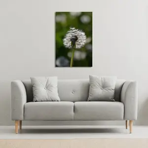 fluffy flower (Canvas Print) / 77 x 51 x 4cm