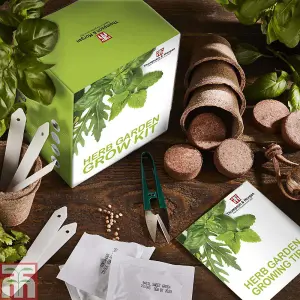 Seed Growing  Kit - Herb Garden