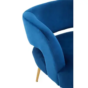 Interiors by Premier Blue Velvet Chair with Gold Finish Metal Legs, Backrest Dining Chair, Easy to Clean Armchair