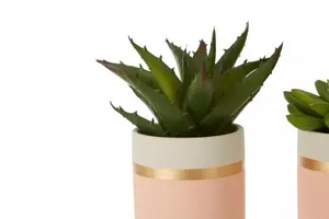 Fiori Set of 3 Pink Pot Succulents Artificial Plant Foliage