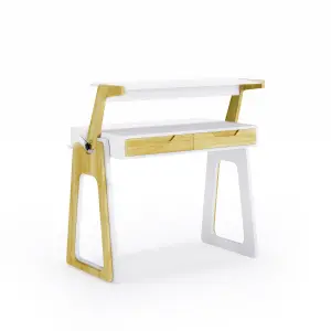 Palmer Adjustable Office Desk in White / Oak