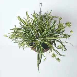 Homescapes Artificial Hanging Basket Spider Plant, 60 cm