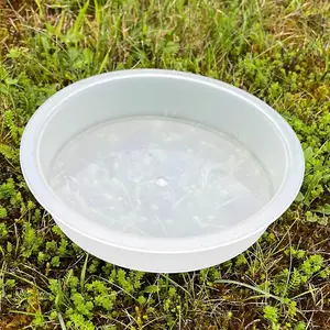 Plastic Replacement Bird Bath for Bird Feeding Stations (Set of 10)