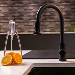 Flode Runda Kitchen Sink Mixer with Pull out Spray Matt Black Round Head