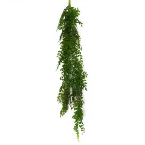 6 x 100cm Hanging Pearls Fern Plant Dark Green